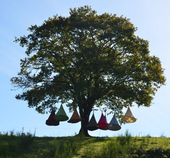 Actual product image Cacoon Bebo (200 kg)