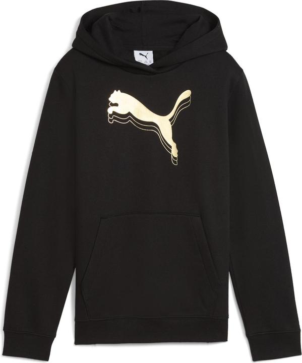 Productafbeelding Puma ESS METALLIC Hoodie FL G (128)