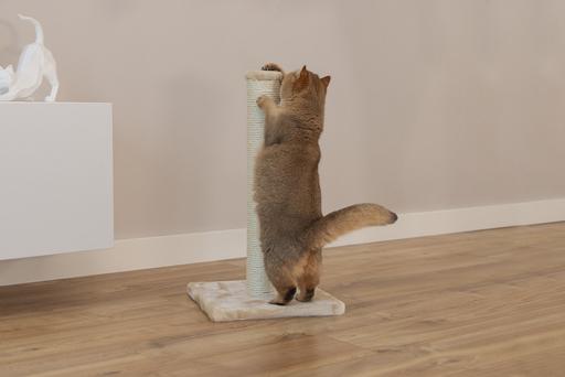 Actual product image Beeztees Mobilier pour chats (60 cm, Beige)