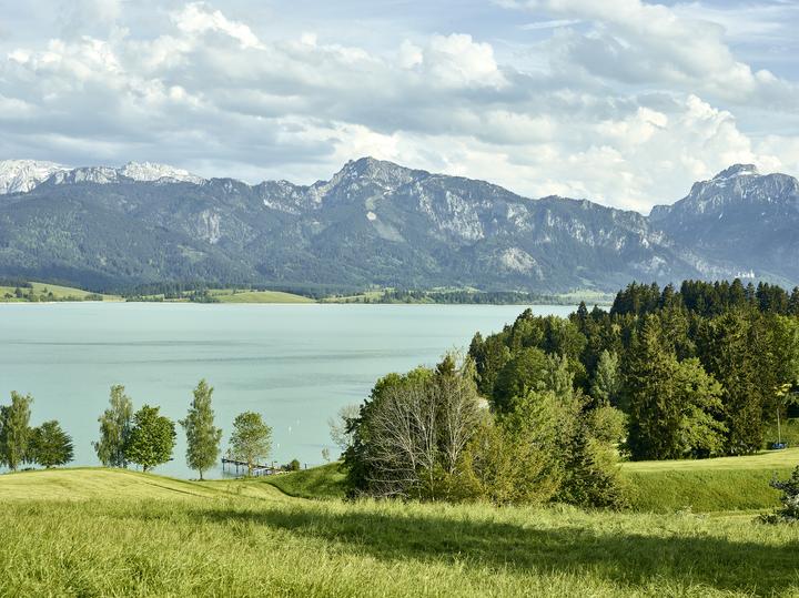 Produktbild Fisgus:Das Allgäu-Kochbuch (Deutsch, Hannelore Fisgus, Ingolf Hatz, 2025)