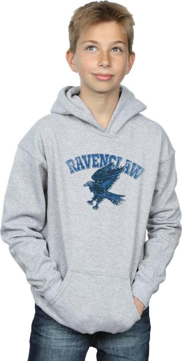 Produktbild Kapuzenpullover Jungen (140, 146)