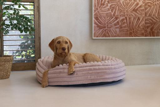 Actual product image Designed by Lotte Reza reclining cushion (Dog)