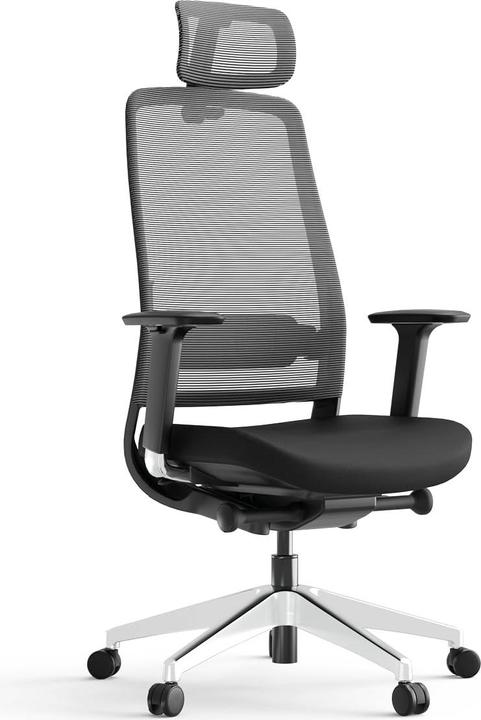 Yaasa Chair Expert - schwarz