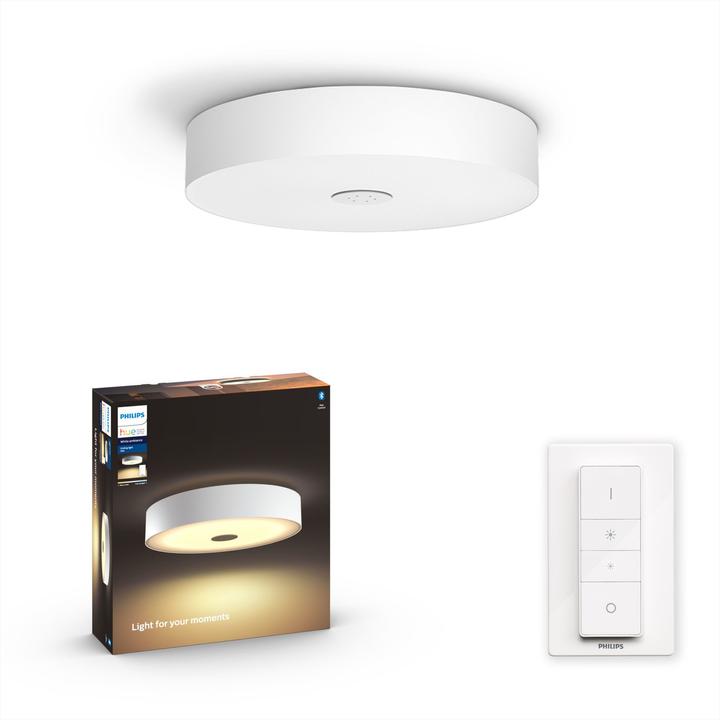 Immagine prodotto Philips Hue Fair Basis BT (3000 lm)