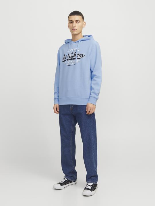 Immagine prodotto Jack & Jones JJELOGO SWEAT HOOD 2 COL 24/25 NOOS (XS)