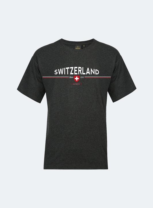 Actual product image Switcher Switzerland since 1291 (XL)