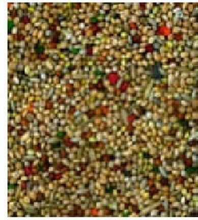 Produktbild Schweizer Qualitätsmischung Wellensittiche (1 x, 1 kg)