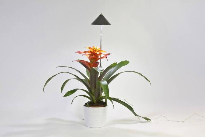 Immagine prodotto Colibri Grigio SUNLiTE (LED, 230 V)