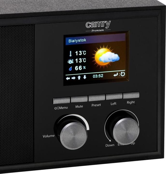 Actual product image Camry CR-1180 (DAB, Web radio, Wi-Fi)