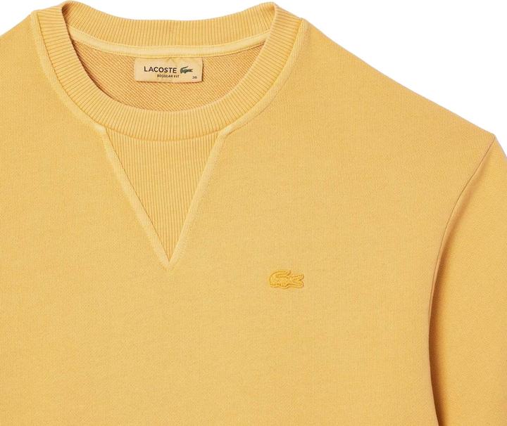 Immagine prodotto Lacoste Felpa con Cappuccio Oversize Donna (32)