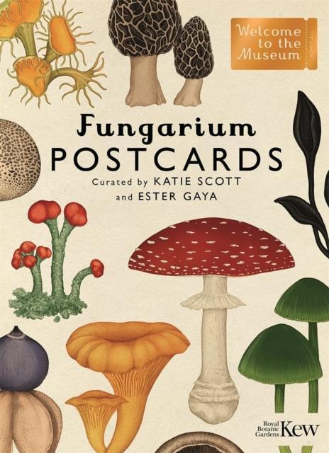 Produktbild Fungarium Postcards (Englisch, Scott Katie, Gaya Ester, 2021)