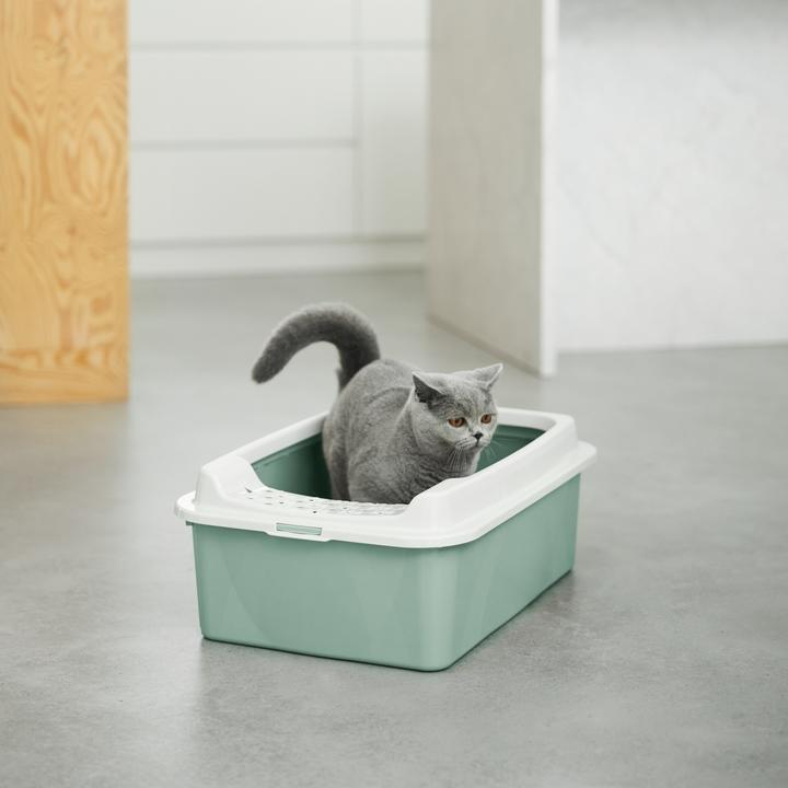 Actual product image Rotho Bonnie M (Cat litter tray open)