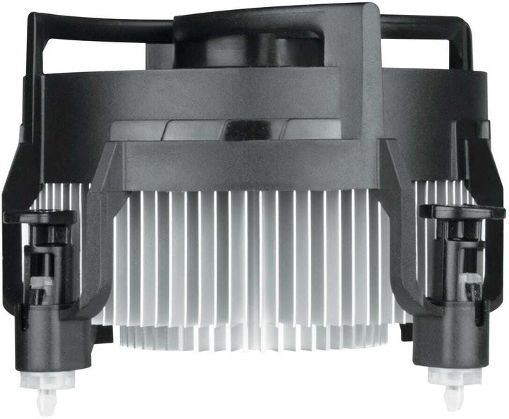 Actual product image Arctic Alpine 17 (77 mm)