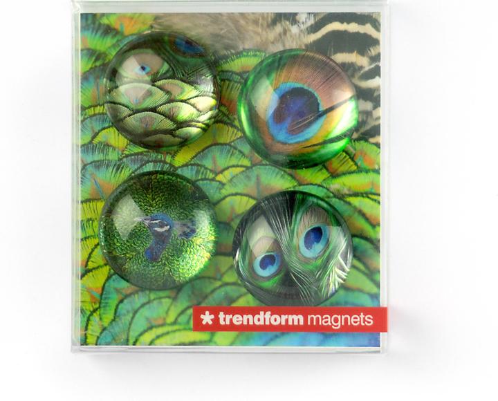 Produktbild Trendform Eye (4 x)