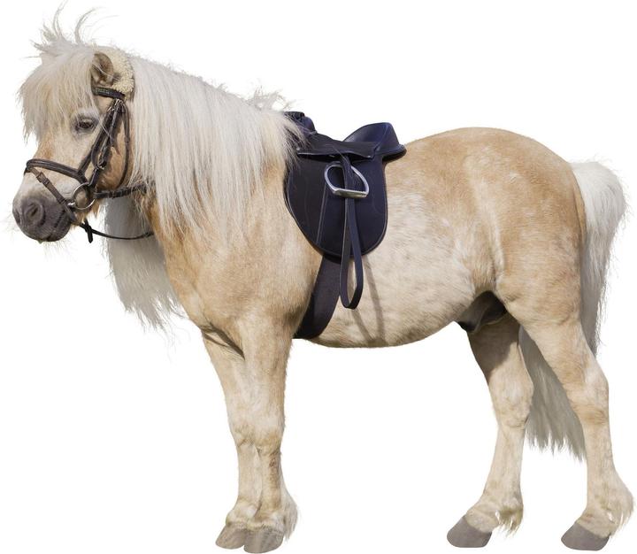 Productafbeelding Kerbl Zadelset Economy Pony zwart (incl. singel, stijgbeugels, stijgbeugelriemen)