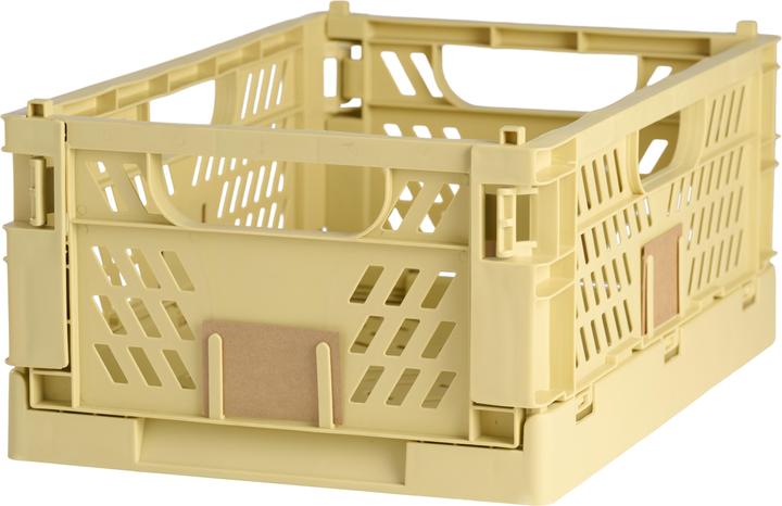Storage Box foldable XL (50 x 33 x 20 cm, 27.60 l)