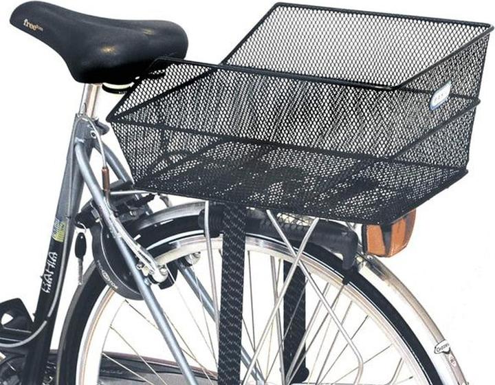 Actual product image Basil Scuola-Cento (27 l)