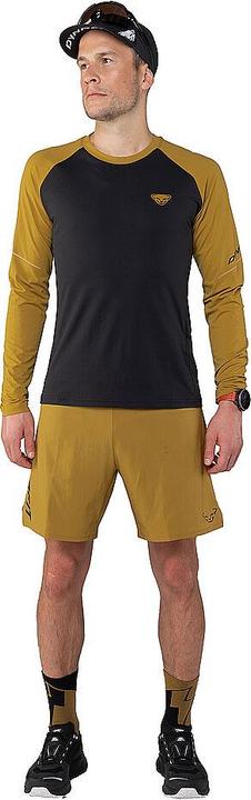 Produktbild Dynafit Alpine Pro L/S Tee (48, M)