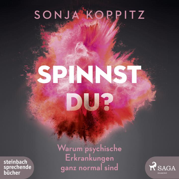 Produktbild Koppitz:Spinnst du? (Sonja Koppitz)
