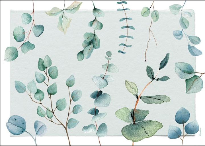 Immagine prodotto Trendform Eucalyptus (48 pz., 42 x 30 cm)