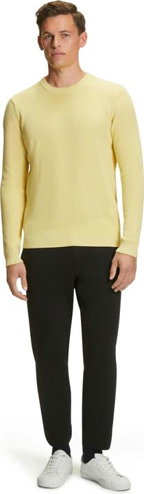 Falke Herren Pullover (L)
