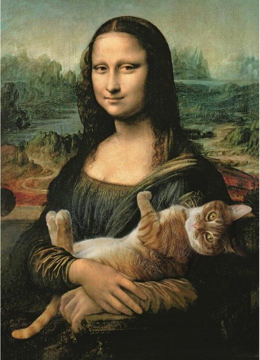 Actual product image Beta service Premium jigsaw puzzle 500 pieces - Mona Lisa with (500 pieces)