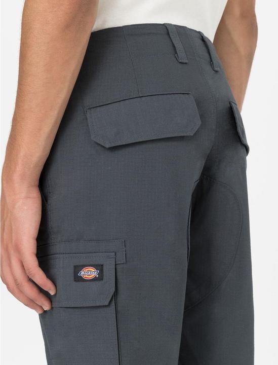 Actual product image Dickies Millerville Short (30)