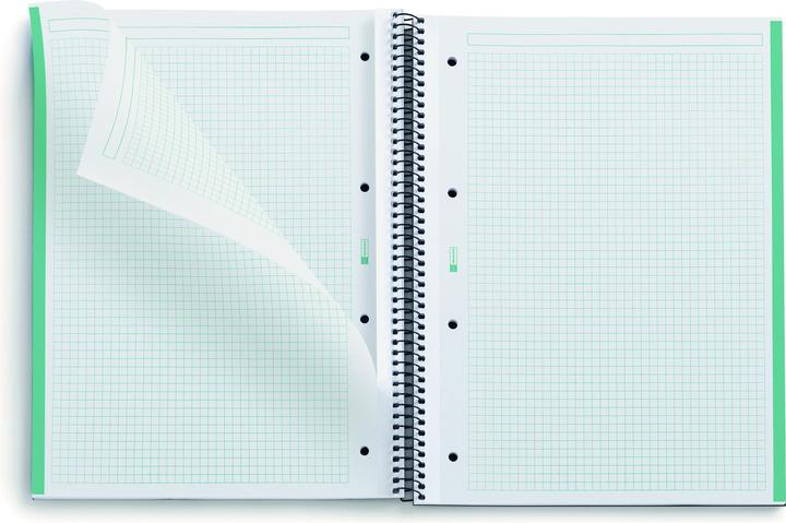 Actual product image Miquelrius MAUL ECO Emotions NB1 ECOMINT Recycle A4 80SQ80G transparent (Speditionsversand) (A4, Checked, Hardcover)