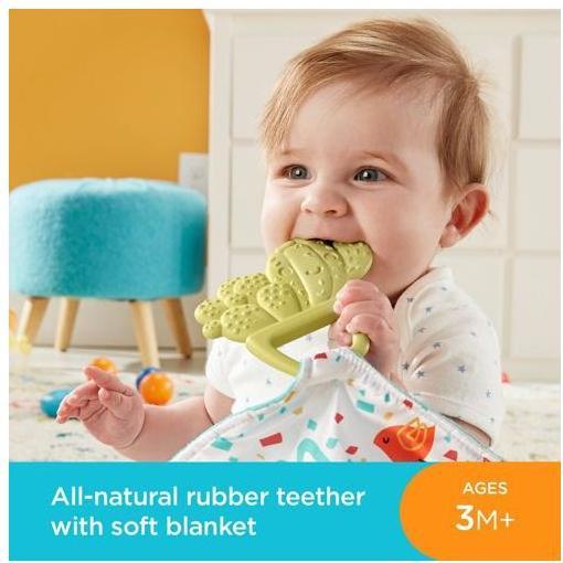 Actual product image Fisher-Price Teethe & Cuddle Cactus