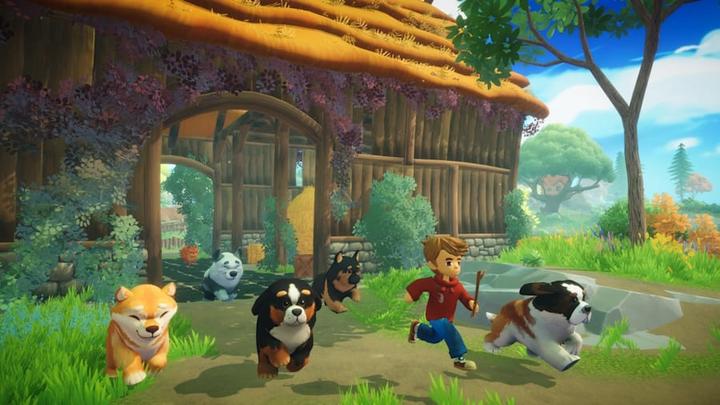 Image du produit Galaxy Games Everdream Valley - Nintendo Switch - Eventyr (Switch, Switch Lite, Switch OLED)