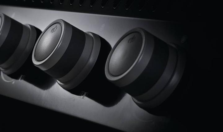 Image du produit Napoleon Rogue 365 'Tout noir (9.50 kW)