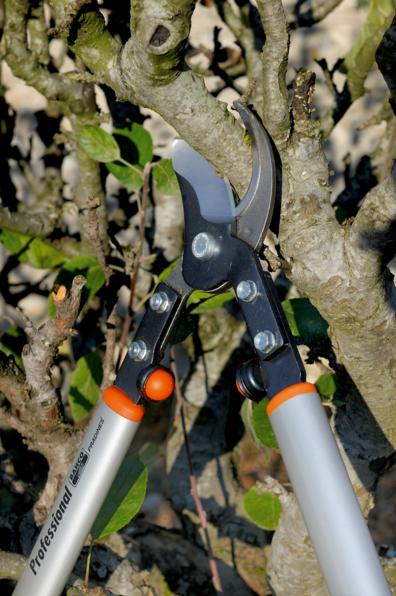 Actual product image Bahco Fruit tree loppers, P160-SL-90