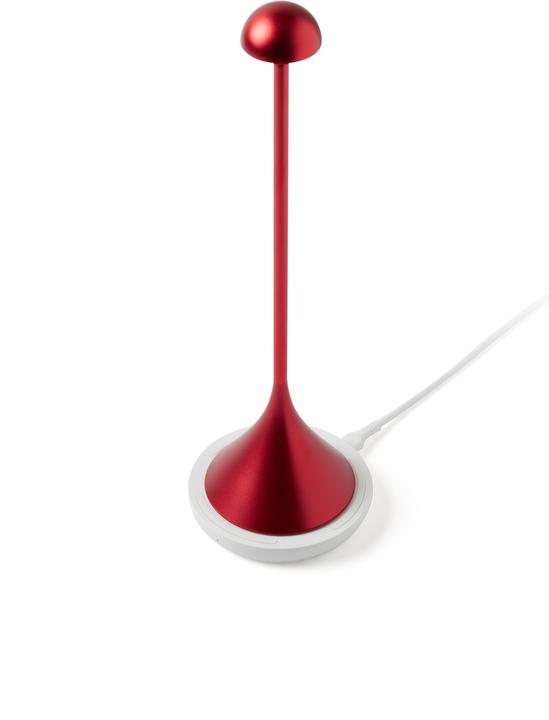 Actual product image Lexon Steli Dome (120 lm)