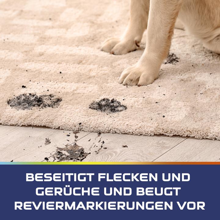 Image du produit Vanish Expert en animaux domestiques Mousse d'entretien pour tapis
