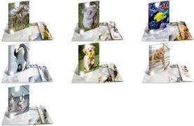 Actual product image HERMA A3 motif folder (A3, 1 x)