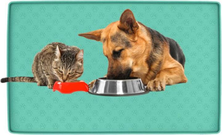 Hermex Futternapfunterlage aus Silikon Bodenschoner Hundefutterunterlage Grün
