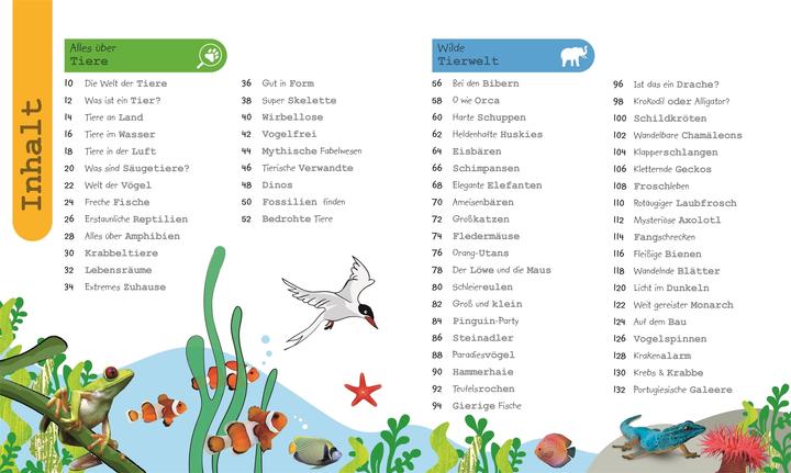 Actual product image Was weisst du über Tiere? (German, Frauke Bahle, Frauke Bahle|DK Verlag - Kids, 2018)