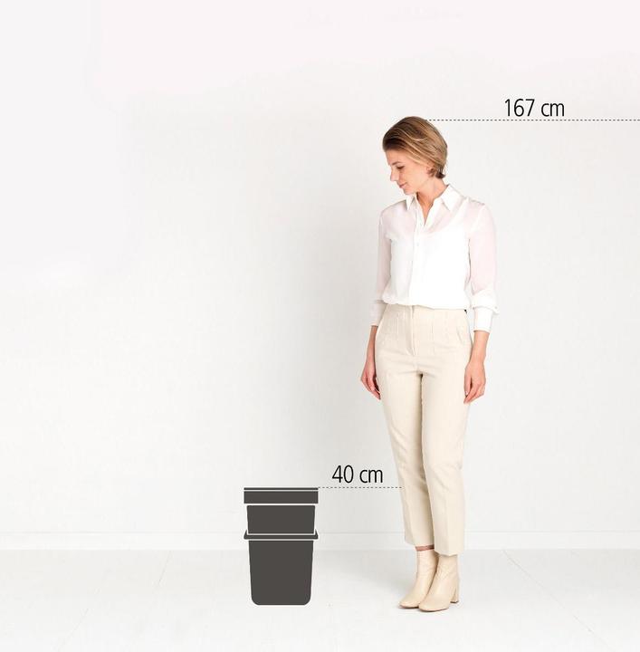 Image du produit Brabantia Sort & Go (25 l)
