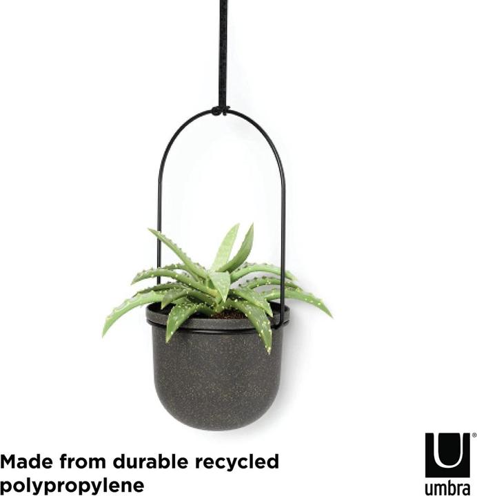 Image du produit Umbra Triflora (137 cm)