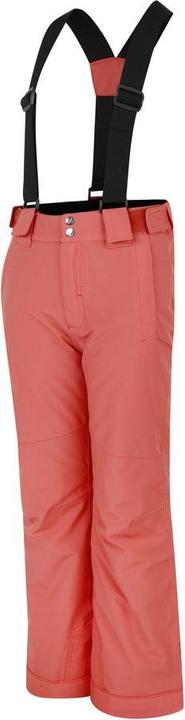 Actual product image Dare2b Outmove II Pant (164)