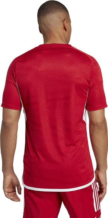 Produktbild adidas Tiro 23 Club Trikot Herren (XL)