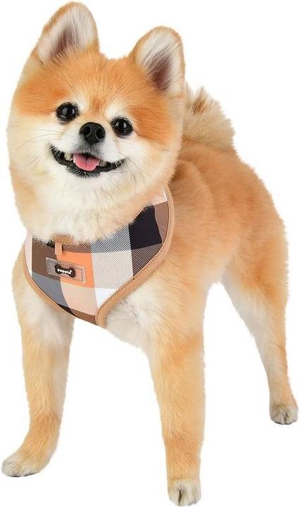 Immagine prodotto Puppia Imbracatura da petto Quinn A (M, Cane, Passeggiare)