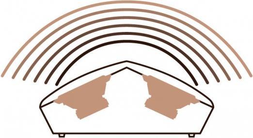 Actual product image Focal ARIA SR 900