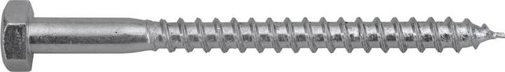 Productafbeelding SWG 192 10 60 67 Houtschroef 10 mm 60 mm DIN 571 verzinkt staal 25 st. (25 Schroeven per stuk)