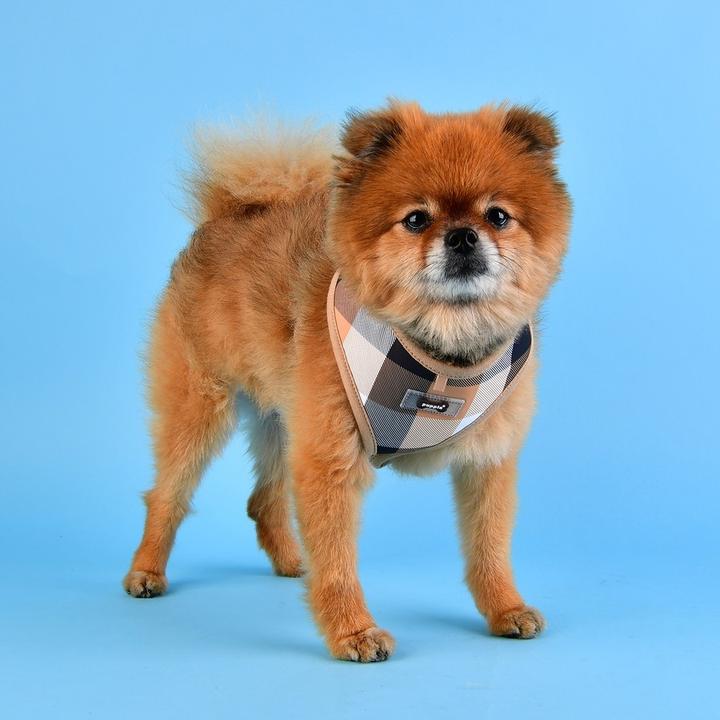 Immagine prodotto Puppia Imbracatura da petto Quinn A (M, Cane, Passeggiare)