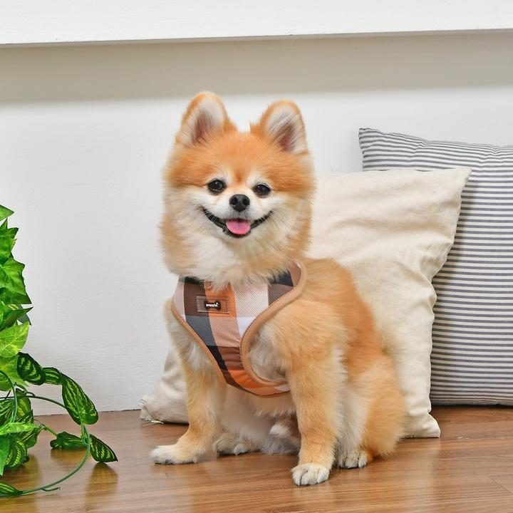 Immagine prodotto Puppia Imbracatura da petto Quinn A (M, Cane, Passeggiare)