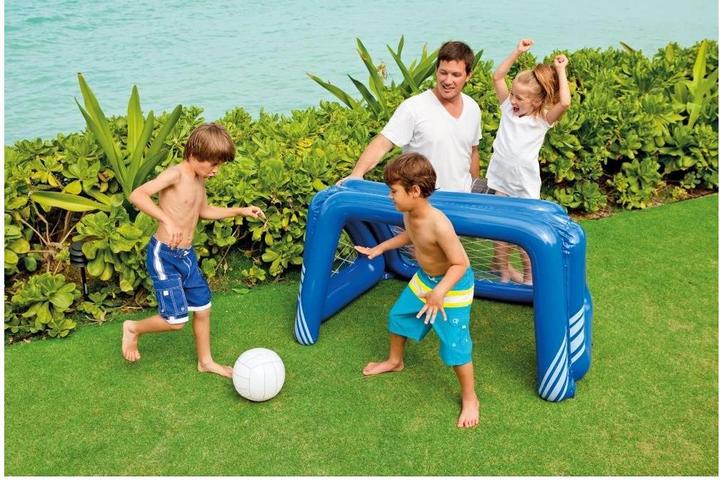 Actual product image Intex Fun goals