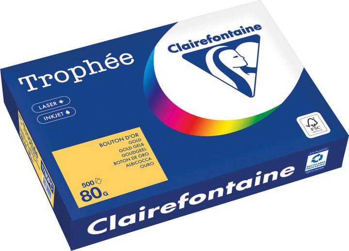 Immagine prodotto Clairefontaine Trophée (80 g/m², 500 x, A4)