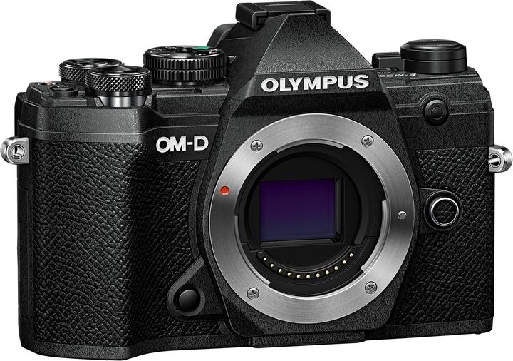Olympus OM-D E-M5 Mark III (20.40 Mpx, Micro Four Thirds)