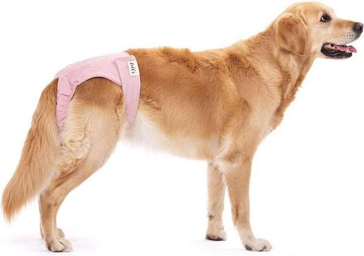 Produktbild Lill's Läufigkeitshöschen aus Bio-Baumwolle Lou (Hund)